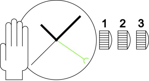 Sellita SW221-1 M movement