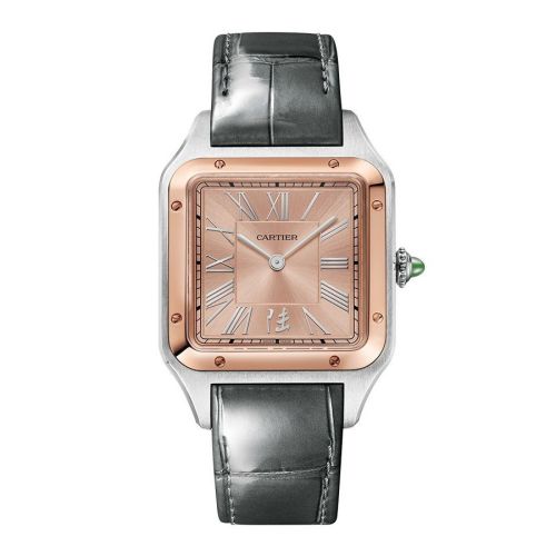 Cartier W2SA0027