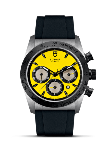 Tudor 42010N-0007